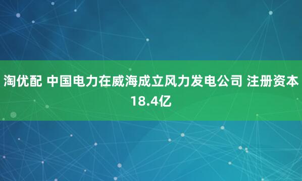 淘优配 中国电力在威海成立风力发电公司 注册资本18.4亿