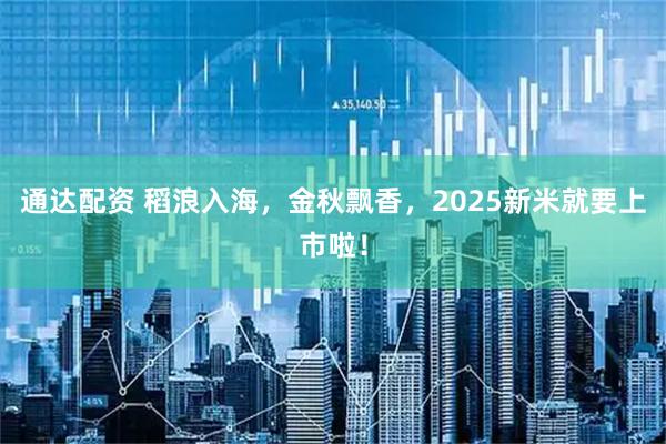 通达配资 稻浪入海，金秋飘香，2025新米就要上市啦！