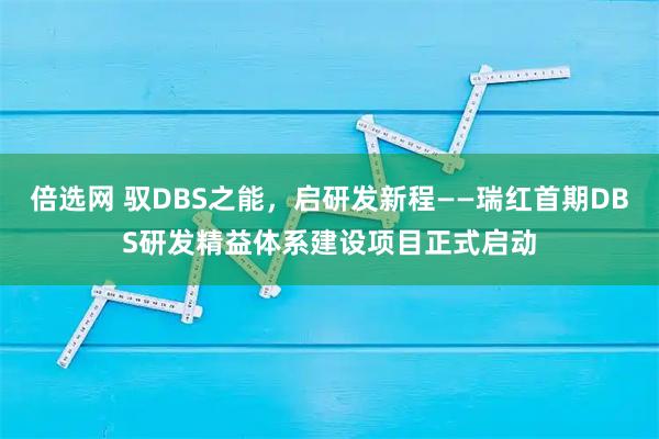 倍选网 驭DBS之能，启研发新程——瑞红首期DBS研发精益体系建设项目正式启动