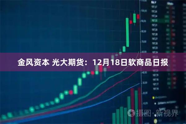金风资本 光大期货：12月18日软商品日报